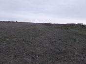 Satılır 100 sot torpaq Xaçmaz