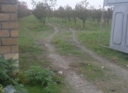 Satılır 173 sot torpaq Göyçay