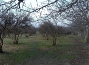 Satılır 80 sot torpaq Göyçay