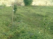 Satılır 24 sot torpaq Quba