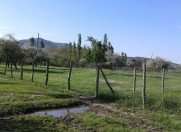 Satılır 10 sot torpaq Quba