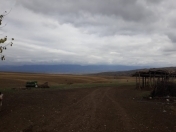 Satılır 14000 sot torpaq Şəki