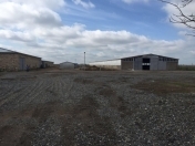 Satılır 8 otaqlı 10000 m2 obyekt Şirvan