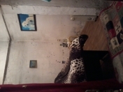 Satılır 1 otaqlı 10 m2 köhnə tikili Nərimanov heykəli