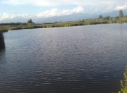 Satılır 400 sot torpaq Zaqatala