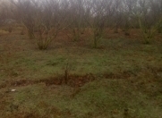 Satılır 6 sot torpaq Xaçmaz