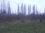 Satılır 34 sot torpaq Xaçmaz