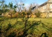 Satılır 5 sot torpaq Lənkəran