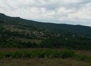 Satılır 210 sot torpaq Quba