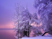 Satılır 150 sot torpaq Xaçmaz