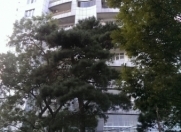 Satılır 1 otaqlı 450 m2 obyekt Nəriman Nərimanov m.