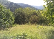 Satılır 12 sot torpaq İsmayıllı