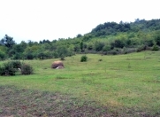 Satılır 76 sot torpaq Quba