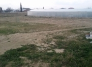 Satılır 25 sot torpaq Sumqayıt