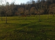 Satılır 10 sot torpaq İsmayıllı