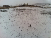 Satılır 12 sot torpaq Şamaxı