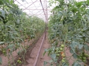 Satılır 5 otaqlı 8000 m2 obyekt Maştağa