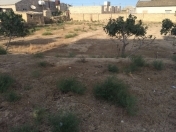 Satılır 24 sot torpaq Buzovna