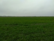 Satılır 2915 sot torpaq Qusar