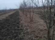 Satılır 2 sot torpaq Xaçmaz