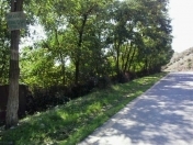 Satılır 12 sot torpaq Quba