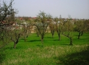 Satılır 23 sot torpaq Quba