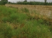 Satılır 33 sot torpaq Salyan