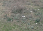 Satılır 10 sot torpaq Naxçıvan