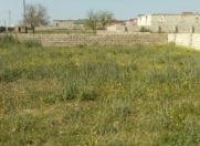 Satılır 3 sot torpaq Buzovna