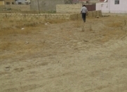 Satılır 3 sot torpaq Masazır