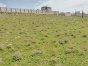 Satılır 10 sot torpaq Masazır