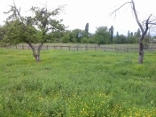 Satılır 25 sot torpaq İsmayıllı