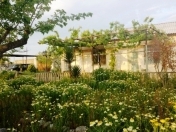 Satılır 5 otaqlı 1500 m2 bağ evi Mərdəkan