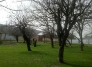 Satılır 24 sot torpaq İsmayıllı