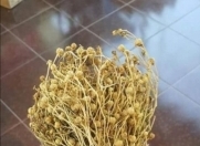 Satılır 5 sot torpaq Xaçmaz