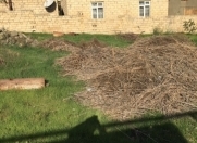 Satılır 8 sot torpaq Masazır