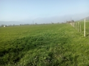 Satılır 123 sot torpaq Quba