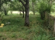 Satılır 17 sot torpaq Qusar