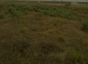 Satılır 10 sot torpaq Masazır