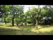 Satılır 10 sot torpaq Zaqatala