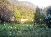 Satılır 12 sot torpaq İsmayıllı