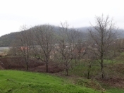 Satılır 20 sot torpaq İsmayıllı