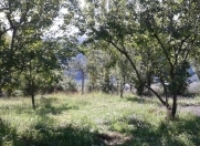 Satılır 12 sot torpaq Qusar