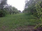 Satılır 164 sot torpaq Quba