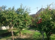 Satılır 15 sot torpaq Buzovna