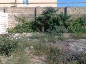 Satılır 4 sot torpaq Xırdalan