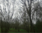 Satılır 12 sot torpaq Qax