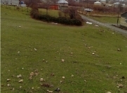 Satılır 18 sot torpaq Qax