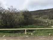 Satılır 10 sot torpaq Şamaxı