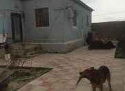 Satılır 3 otaqlı 120 m2 həyət evi Qobu